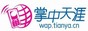 掌中天涯